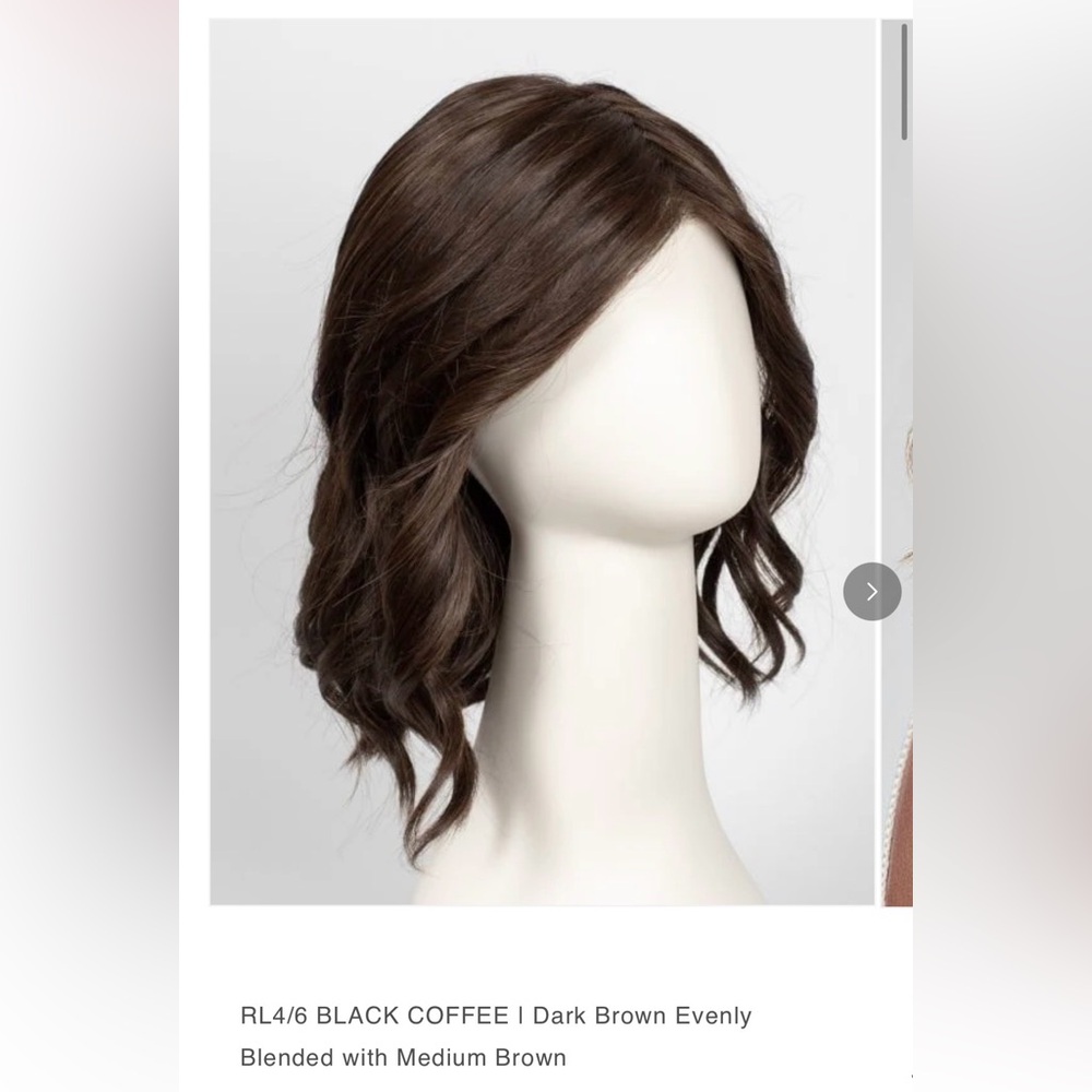 NWT Raquel Welch Simmer Wig